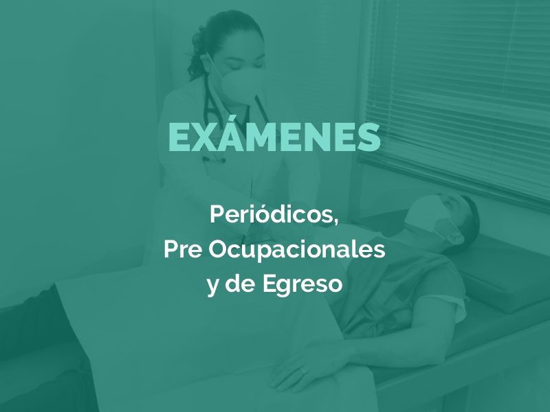 Exámenes